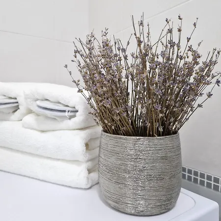 Central Skystudio Apartment Timisoara
