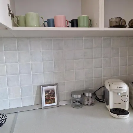 Central Skystudio Apartment Timisoara