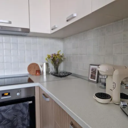 Central Skystudio Apartment Timisoara