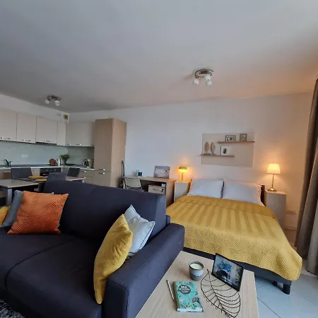 Central Skystudio Apartment Timisoara