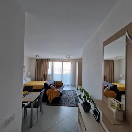 Apartment Central Skystudio Timisoara