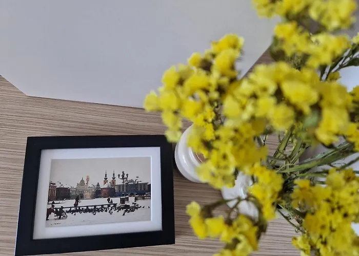 Central Skystudio * Temešvár