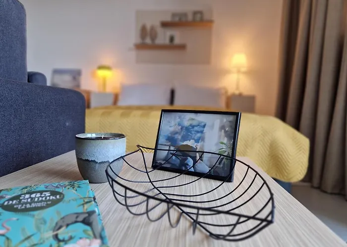 Apartmán Central Skystudio Temešvár