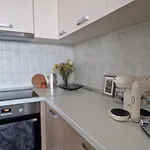 Central Skystudio דירה טימישוארה