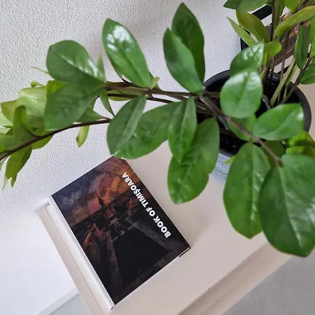 Central Skystudio Lägenhet Timişoara