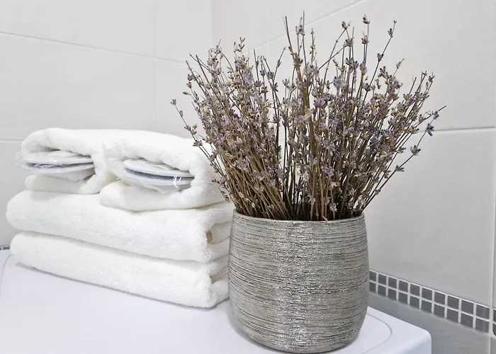 Central Skystudio Lägenhet Timişoara