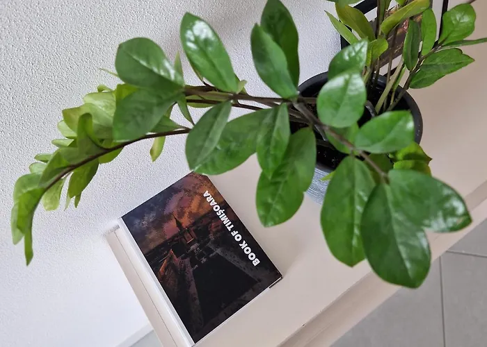 Central Skystudio Lägenhet Timişoara